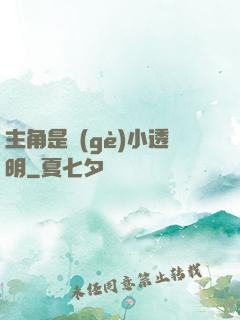 主角是個(gè)小透明