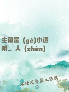 主角是個(gè)小透明