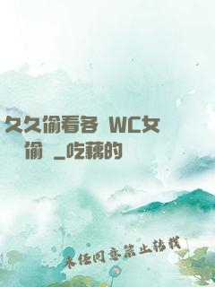 久久偷看各類WC女廁噓噓偷竊