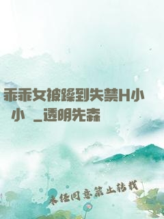 乖乖女被躁到失禁H小說小說
