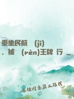 乘坐民航飛機(jī)，被誤認(rèn)王牌飛行員