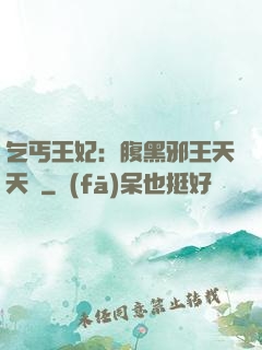 乞丐王妃：腹黑邪王天天寵