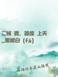 二嫁貴妻，首席寵上天
