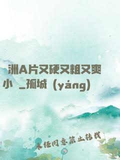 亞洲A片又硬又粗又爽小說