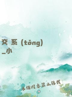 交換系統(tǒng)