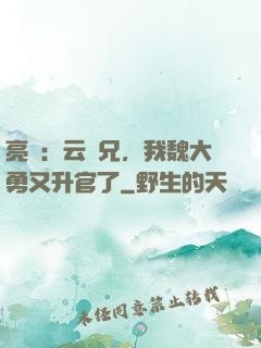 亮劍：云龍兄，我魏大勇又升官了