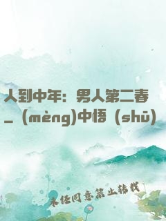 人到中年：男人第二春