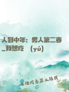 人到中年：男人第二春