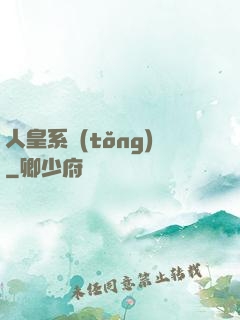 人皇系統(tǒng)