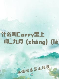 什么叫Carry型上單啊
