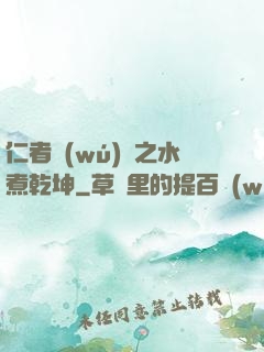 仁者無(wú)敵之水煮乾坤