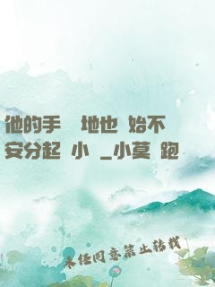他的手漸漸地也開始不安分起來小說