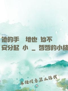 他的手漸漸地也開始不安分起來小說