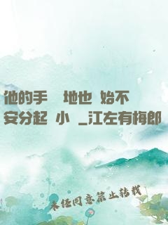 他的手漸漸地也開始不安分起來小說