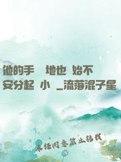 他的手漸漸地也開始不安分起來小說