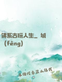 佛系古玩人生
