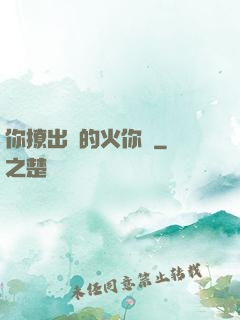 你撩出來的火你滅