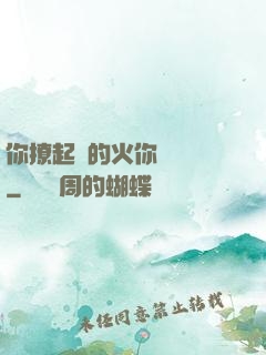 你撩起來的火你負責滅