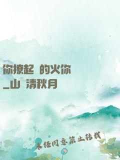 你撩起來的火你負責滅