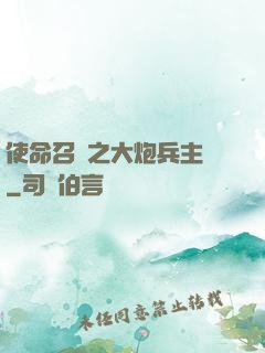 使命召喚之大炮兵主義