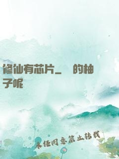 修仙有芯片