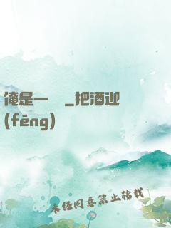 俺是一個賊