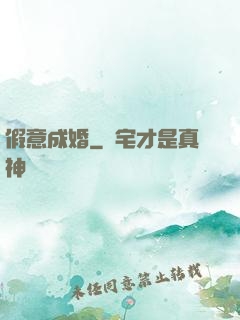 假意成婚
