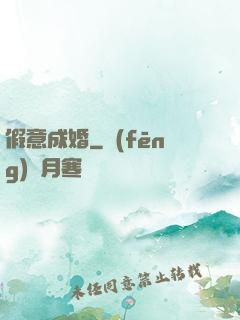 假意成婚