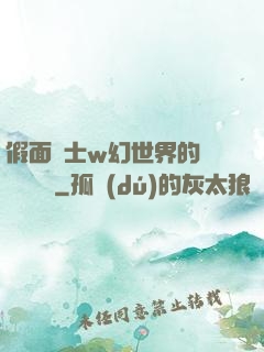 假面騎士w幻世界的蓋亞記憶體
