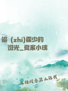 偏執(zhí)霍少的專屬微光