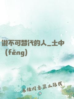 做不可替代的人