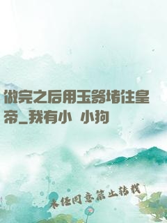 做完之后用玉器堵住皇帝