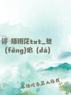 停電插班花txt