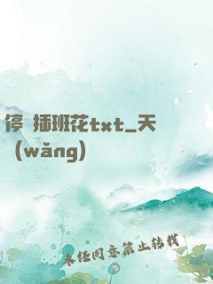停電插班花txt