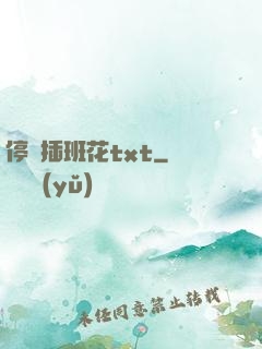 停電插班花txt
