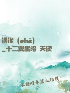偶像設(shè)計師