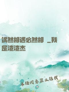 偶然相遇必然相愛