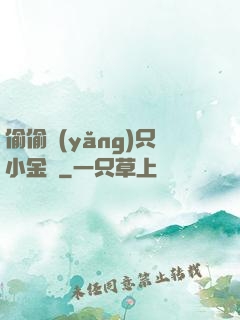 偷偷養(yǎng)只小金烏
