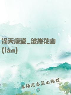 偷天魔道
