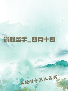 偷心圣手