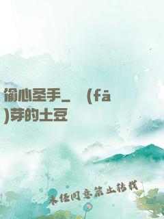 偷心圣手