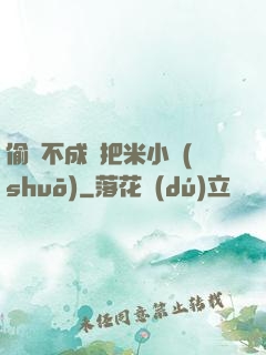 偷雞不成蝕把米小說(shuō)