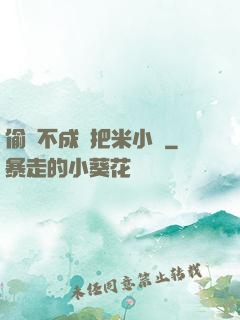 偷雞不成蝕把米小說