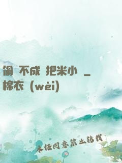 偷雞不成蝕把米小說