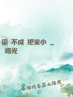 偷雞不成蝕把米小說