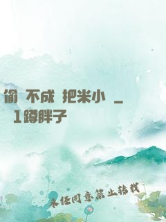 偷雞不成蝕把米小說