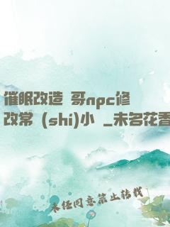 催眠改造帥哥npc修改常識(shí)小說