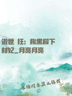 傲世鳳狂：腹黑殿下廢材妃