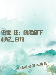 傲世鳳狂：腹黑殿下廢材妃