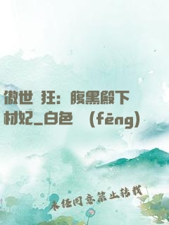 傲世鳳狂：腹黑殿下廢材妃